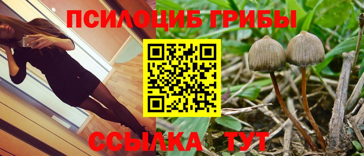 Галлюциногенные грибы мицелий  Псилоцибиновые грибы GOLDEN TEACHER  Вход с VPN  купить   Ханты-Мансийск 